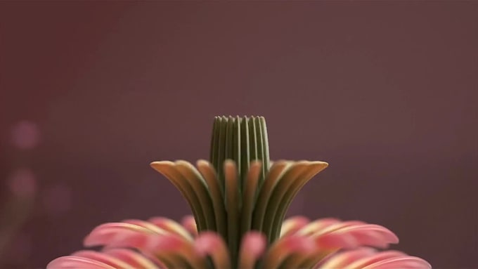 create realistic 3d flower blooming animation, 3d flower petal, 3d flower render
