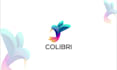 provide professional logo design services