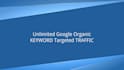 drive keyword targeting organic traffic, google visitors