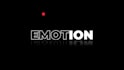 create a custom 2d logo animation or other motion design