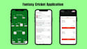 develop fantasy cricket app dream11