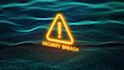do web penetration testing and vulnerability assessment based on owasp standards