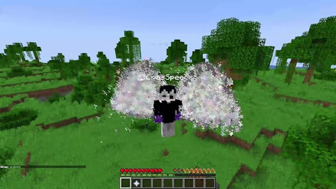 create a custom minecraft smp plugins