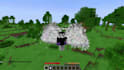 create a custom minecraft smp plugins