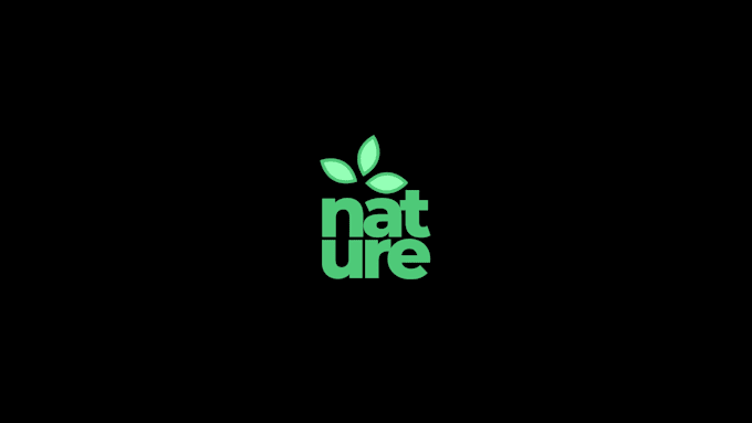 do a logo design