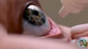 enhance patient education with 3d medical animations