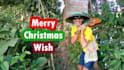 make special christmas wishing video for you