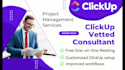 be your project manager and consultant for clickup