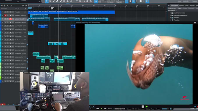 Created Design Mix And Master Foley Sound And Sfx