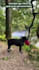 create ugc content for your pet products and services