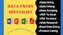 do data entry, web research, copy paste, excel data entry