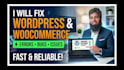 fix wordpress issues, woocommerce fix, wordpress bug fix, fix wordpress error