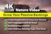 create youtube channel with 4k meditation and relaxing music videos