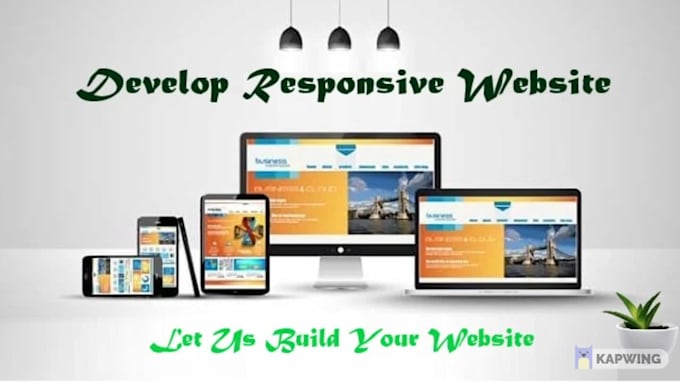 develop responsive shopify store website