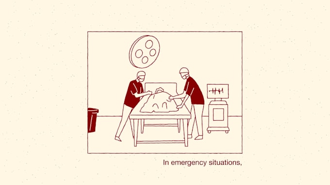 produce a high quality animated explainer video