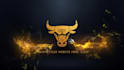 create 3 stunning logo intro video animation