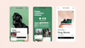 build 1 product and niche shopify website dropshipping store