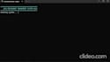 do operating systems, data structures, and c cpp python tasks