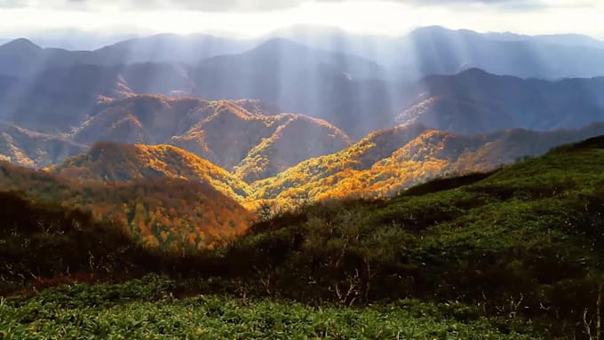 Hot Deals! I will make a video slideshow with your photos  for $25