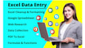 perform excel data entry, cleanup, and formatting