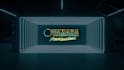 create a 2d or 3d logo reveal animation intro