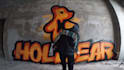 make a real graffiti video with your logo or image