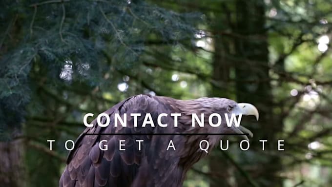 do professional video editing
