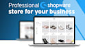 build your professional shopware 6 store