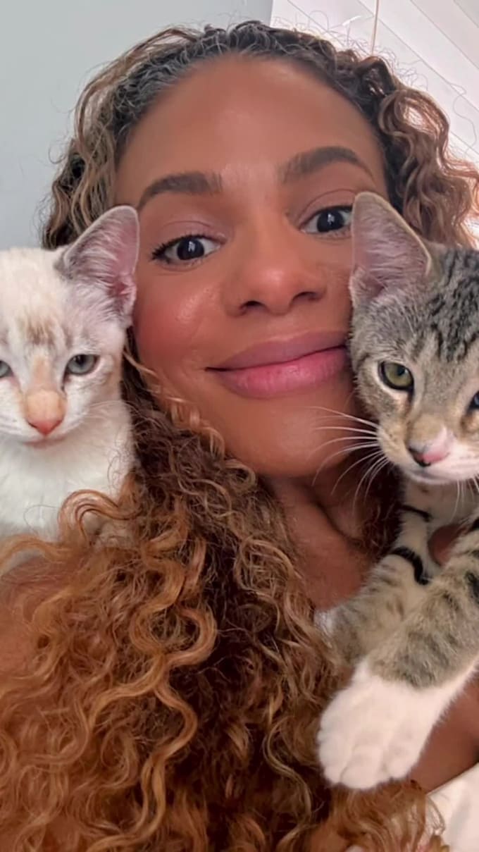 create ugc videos for using my kittens for your pet brand