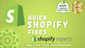 edit, fix, resolve errors, make small changes  and resolve bugs in shopify store