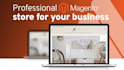 build your professional magento 2 store