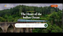 develop a custom travel agency website with booking engine
