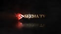 create custom 2d 3d motion graphics logo animation