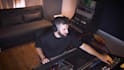 provide pro analog mastering for your song