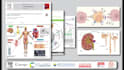 design scientific graphical abstract and figures for article, journal and book