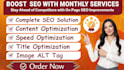 do  on page SEO search engine optimization and technical monthly  services