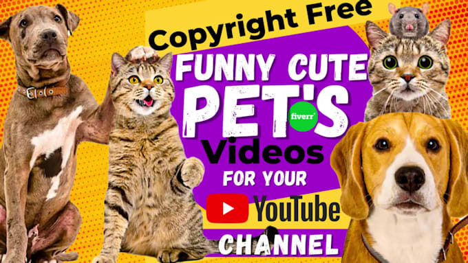 make monetizable cute funny pets compilation videos