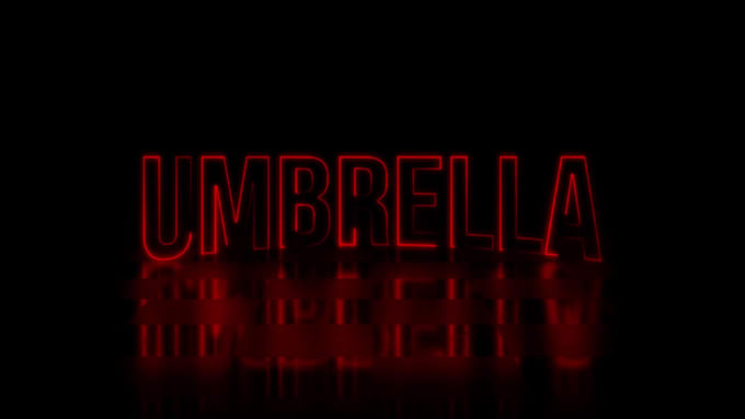 create a custom 2d animated logo reveal intro video