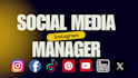 be your instagram manager for organic growth