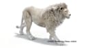 design, rig and animate a realistic 3d cgi animal character