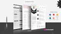 professional resume design CV making and resume templates