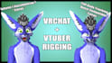 rig or create your 3d model or avatar for vtuber and vrchat