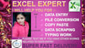 do data entry data scraping file instant phototyping