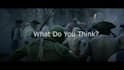 make professional cinematic and orchestral music for you