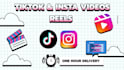 make tiktok and insta video ads for you in just 1 hour