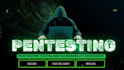 do penetration testing, vulnerability assessment and provide website security