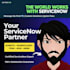 provide servicenow development, architect support, and consulting services