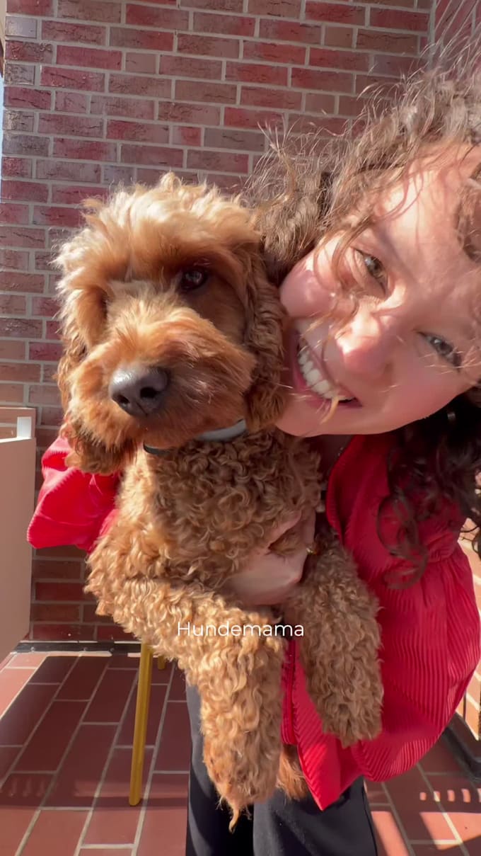 create authentic ugc videos with my dog