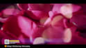 create amazing commercial brand video