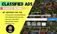 develop a classified ads listing website in wordpress